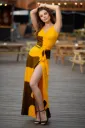 The Golden Savanna Warp Dress